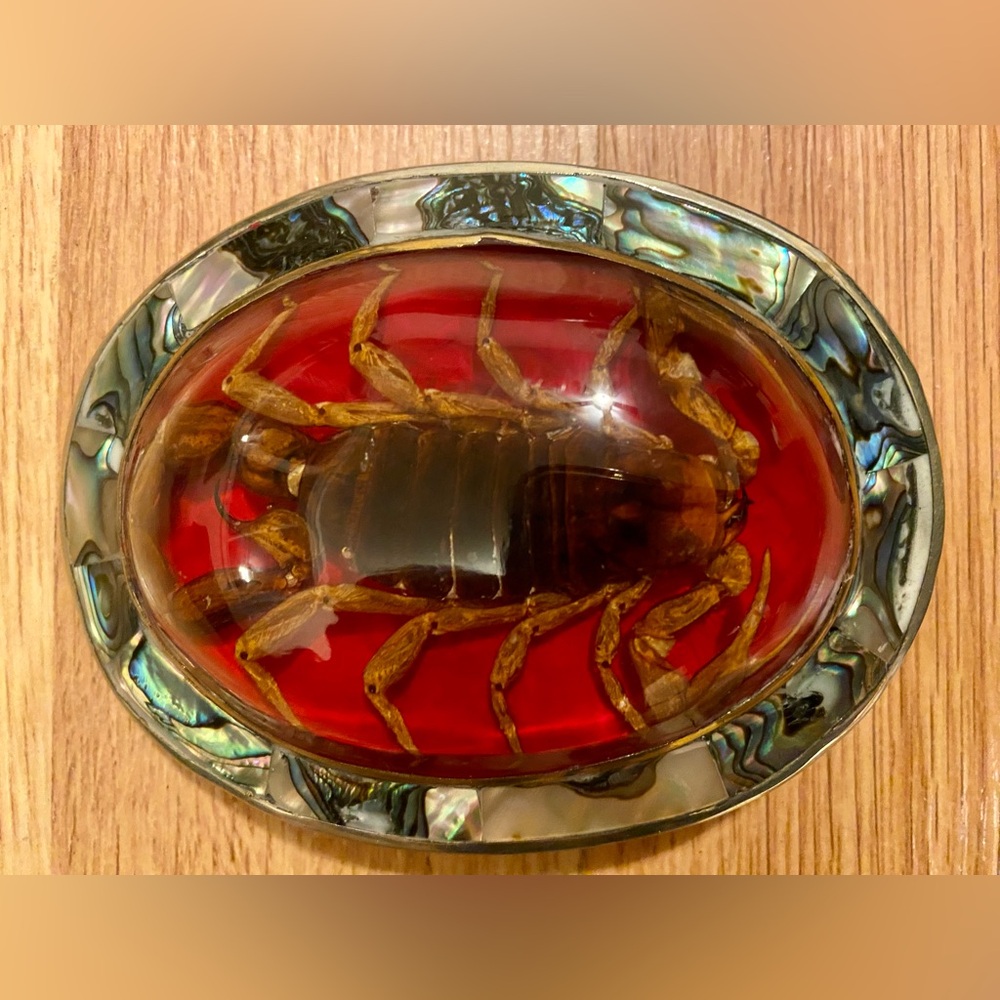 Real Scorpion Resin and Abalone Shell Belt Buckle